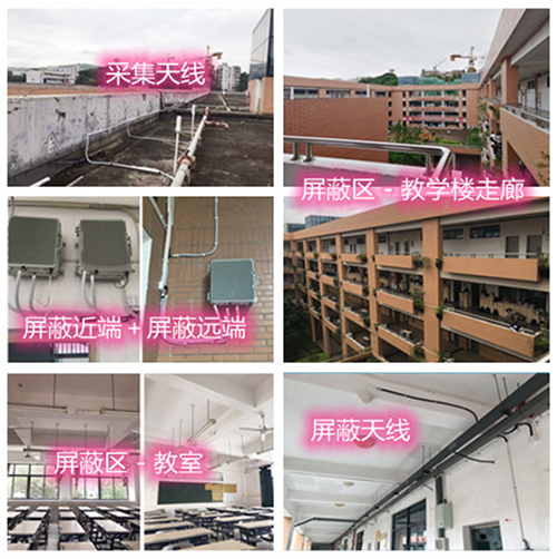  会泽某中学考场屏蔽案例（数字信令级）